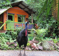 Rainforest Hideaway - Accommodation Mermaid Beach
