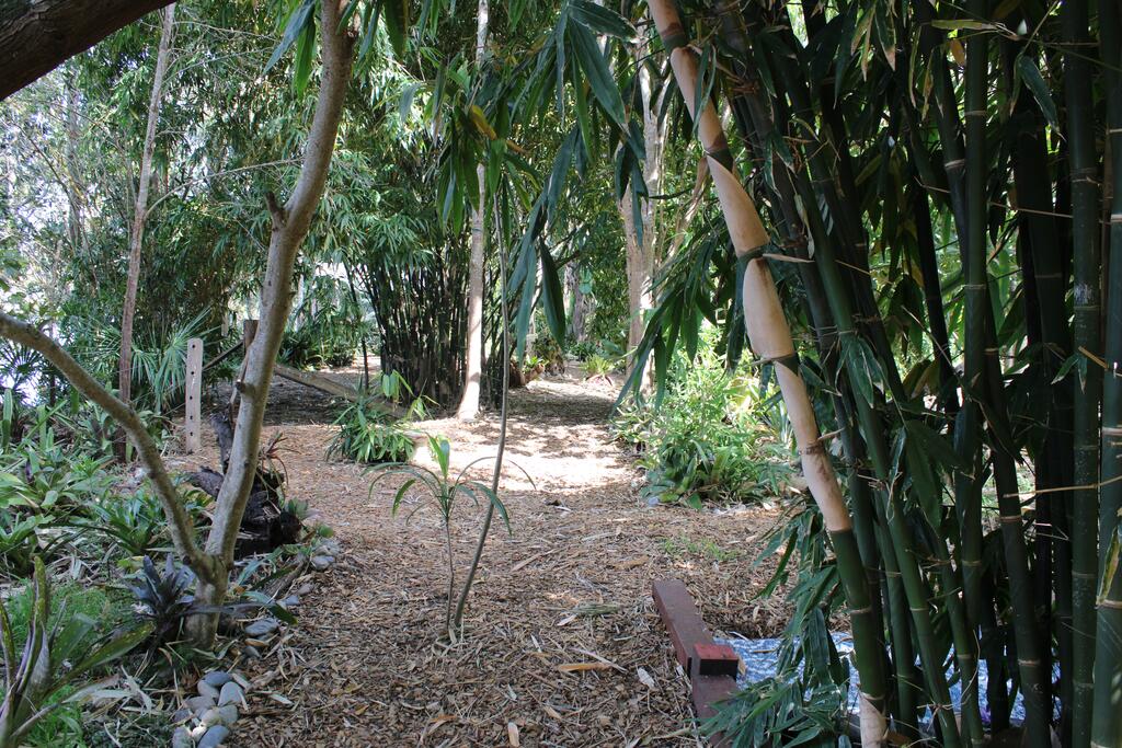 Bohnock NSW Accommodation Mermaid Beach