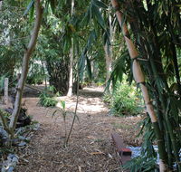 Rainforest Water Front River Shack Secluded. - Accommodation Mermaid Beach