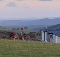 Rooks Edge - Accommodation Mermaid Beach