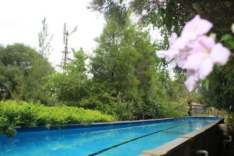 Rosebank Homestead And Farmstay - Accommodation Mermaid Beach 3