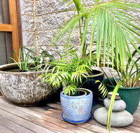 SEAeSCAPE Apollo Bay - Accommodation Mermaid Beach