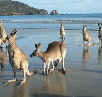Seaforth Holiday Units - Accommodation Mermaid Beach