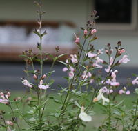Serendipity on Allyn - Accommodation Mermaid Beach
