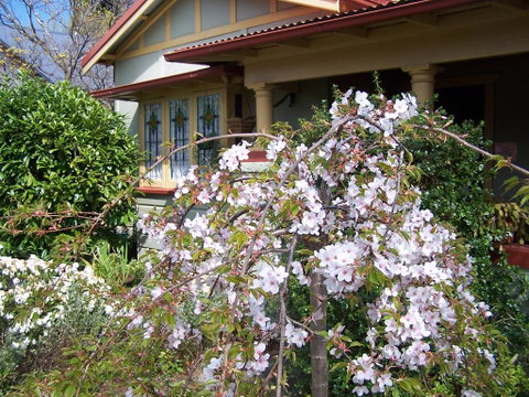 Shelton-Lea Bed & Breakfast - Accommodation Mermaid Beach 0