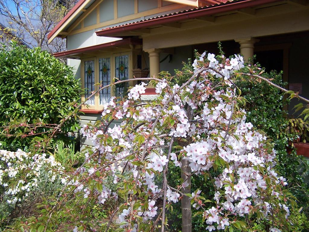 Katoomba NSW Accommodation Mermaid Beach