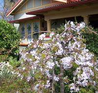 Shelton-Lea Bed  Breakfast - Accommodation Mermaid Beach