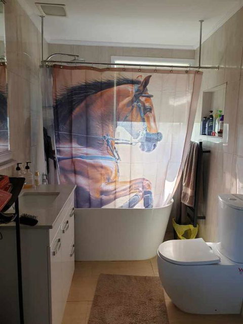 Silverbirch Cottage - Accommodation Mermaid Beach 3