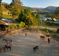 Spring Spur - Accommodation Mermaid Beach
