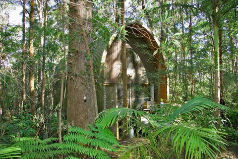 Springbrook Mountain Chalets - Accommodation Mermaid Beach 0