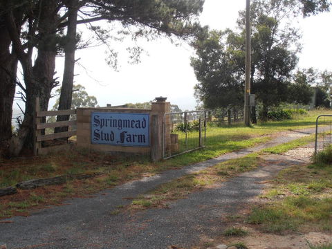 Springmead B&B - Accommodation Mermaid Beach 2
