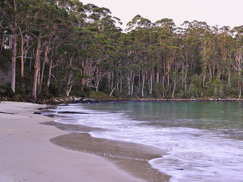 NRMA Port Arthur Holiday Park - Accommodation Mermaid Beach 41