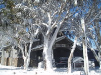 Book Dinner Plain Accommodation Vacations Accommodation Mermaid Beach Accommodation Mermaid Beach