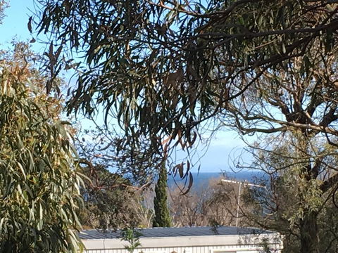Kookas Retreat - Accommodation Mermaid Beach 17