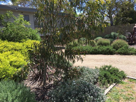 Kookas Retreat - Accommodation Mermaid Beach 13