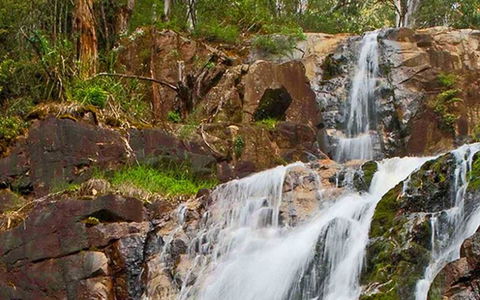 Marysville Caravan And Holiday Park - Accommodation Mermaid Beach 37