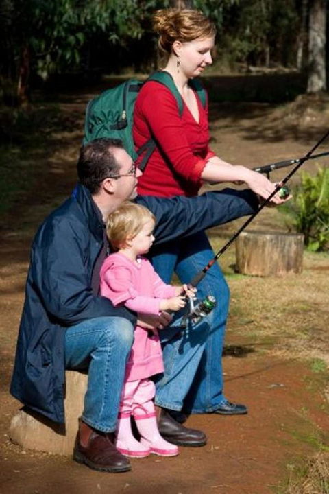 Marysville Caravan And Holiday Park - Accommodation Mermaid Beach 22