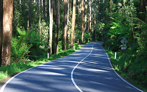 Marysville Caravan And Holiday Park - Accommodation Mermaid Beach 40