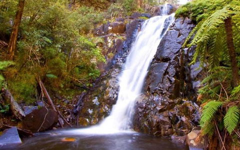 Marysville Caravan And Holiday Park - Accommodation Mermaid Beach 32