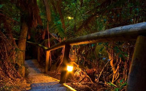 Marysville Caravan And Holiday Park - Accommodation Mermaid Beach 27