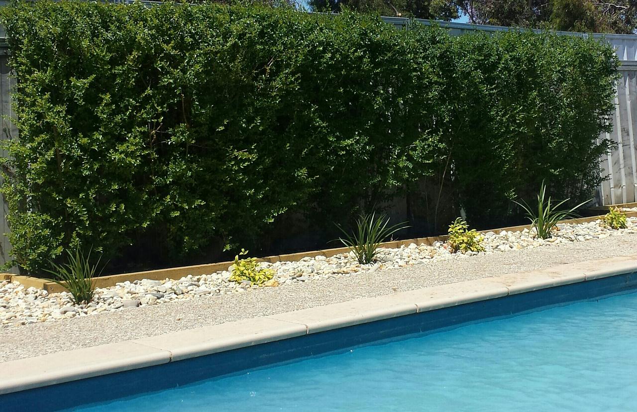 Tol Tol VIC Accommodation Mermaid Beach
