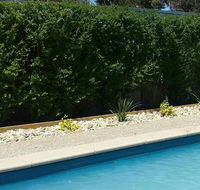 Robinvale Bridge Motel - Accommodation Mermaid Beach