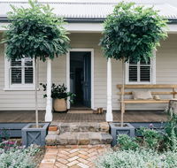 Acre of Roses - Accommodation Mermaid Beach