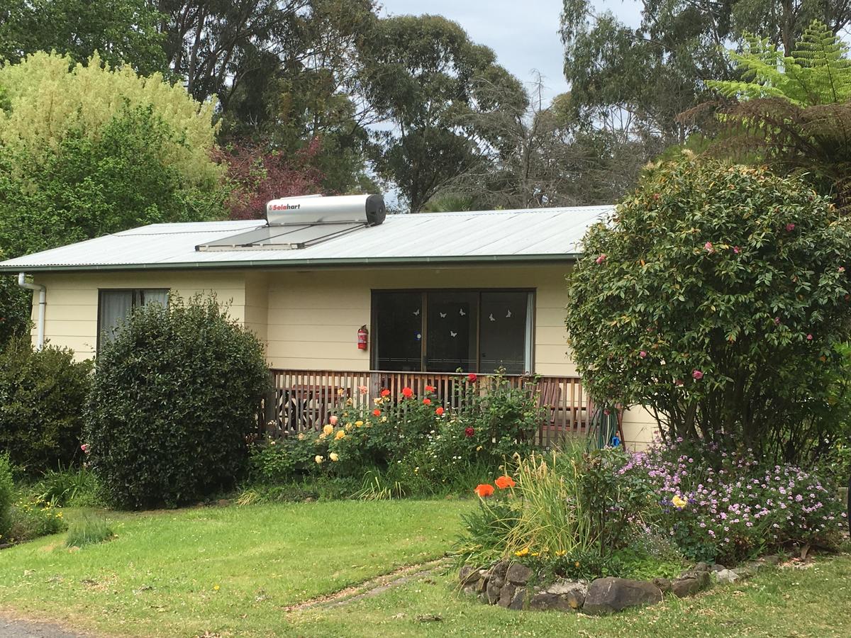 Baromi VIC Accommodation Mermaid Beach