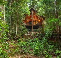The Canopy Rainforest Treehouses  Wildlife Sanctuary - Accommodation Mermaid Beach