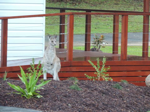 The Pouch B & B - Accommodation Mermaid Beach 1