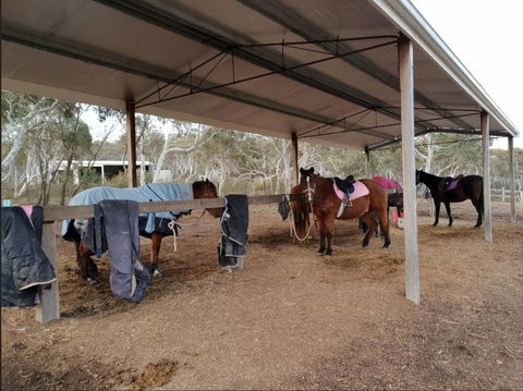 The Saddle Camp Tiny House, Braidwood - Accommodation Mermaid Beach 1