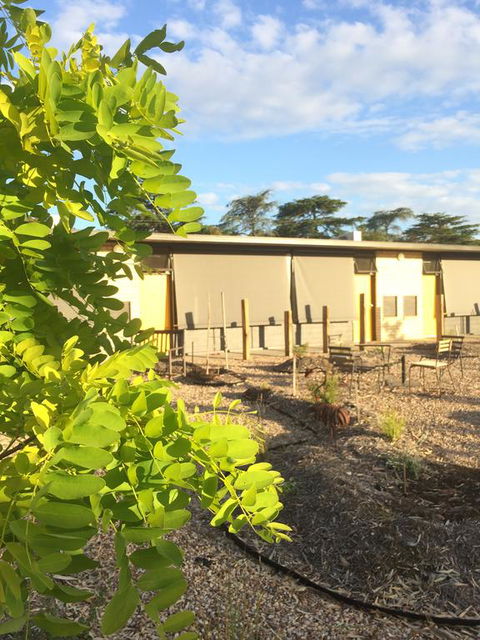 Tread Harcourt - Accommodation Mermaid Beach 0