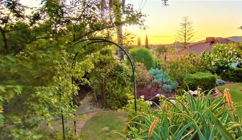 Treetops Escape - Accommodation Mermaid Beach 1