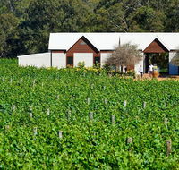 Upper Reach Spa Cottage - Accommodation Mermaid Beach