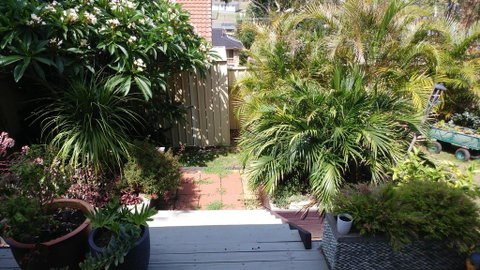 Ven & Marks Place - Accommodation Mermaid Beach 2