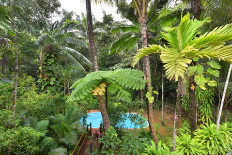 Wait A While Daintree - Accommodation Mermaid Beach 3