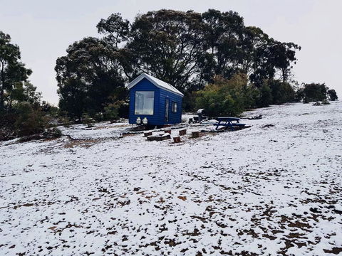 Walden Tiny House - Accommodation Mermaid Beach 2