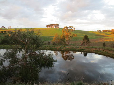 Walnut Cottage Via Leongatha - Accommodation Mermaid Beach 10