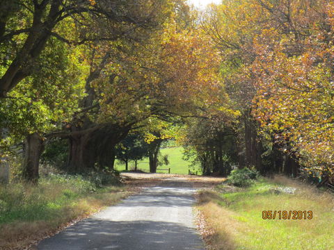 Walnut Cottage Via Leongatha - Accommodation Mermaid Beach 11