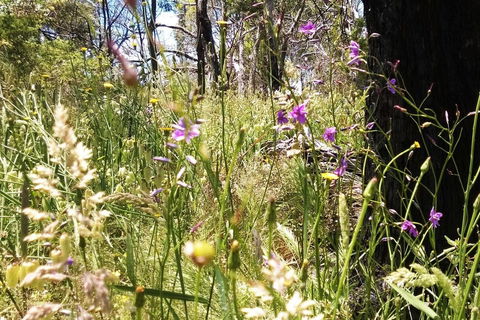 Grampians Pomonal Cottages - Accommodation Mermaid Beach 31