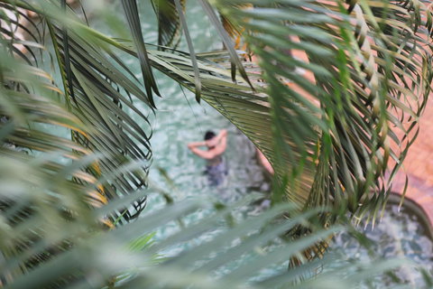 Coral Tree Inn - Accommodation Mermaid Beach 36