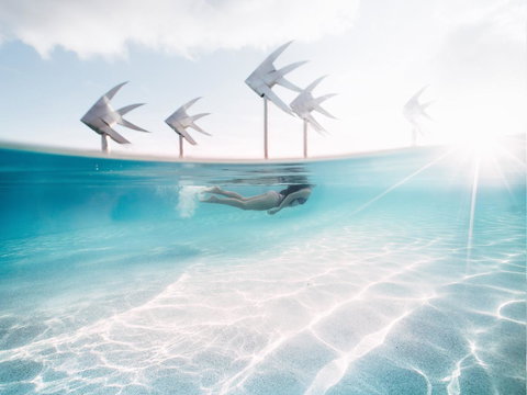 Coral Tree Inn - Accommodation Mermaid Beach 39