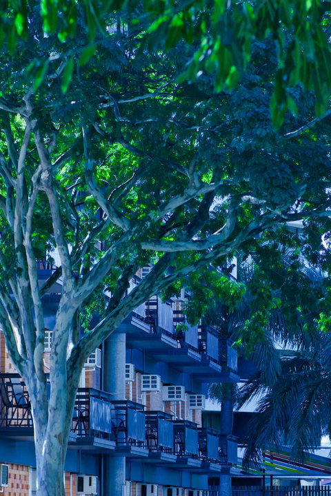 Soho Brisbane - Accommodation Mermaid Beach 12