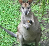 Bluewater Bed  Breakfast Cairns - Accommodation Mermaid Beach