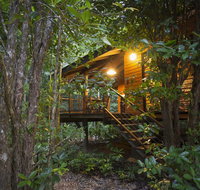 Wildwood - Accommodation Mermaid Beach