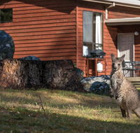 Wonderland Cottages - Accommodation Mermaid Beach