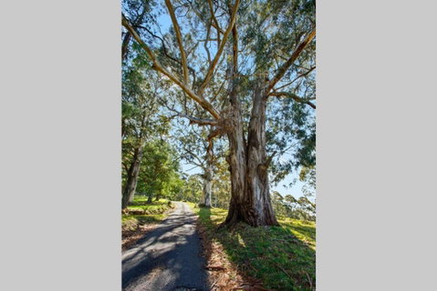 WOOLWAY - Accommodation Mermaid Beach 1