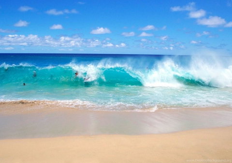 Spectrum Holiday Apartments - Accommodation Mermaid Beach 10