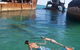 Tangalooma Island Resort - thumb 5