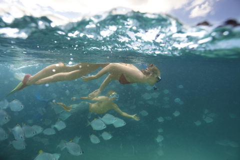 Tangalooma Island Resort - Accommodation Mermaid Beach 4